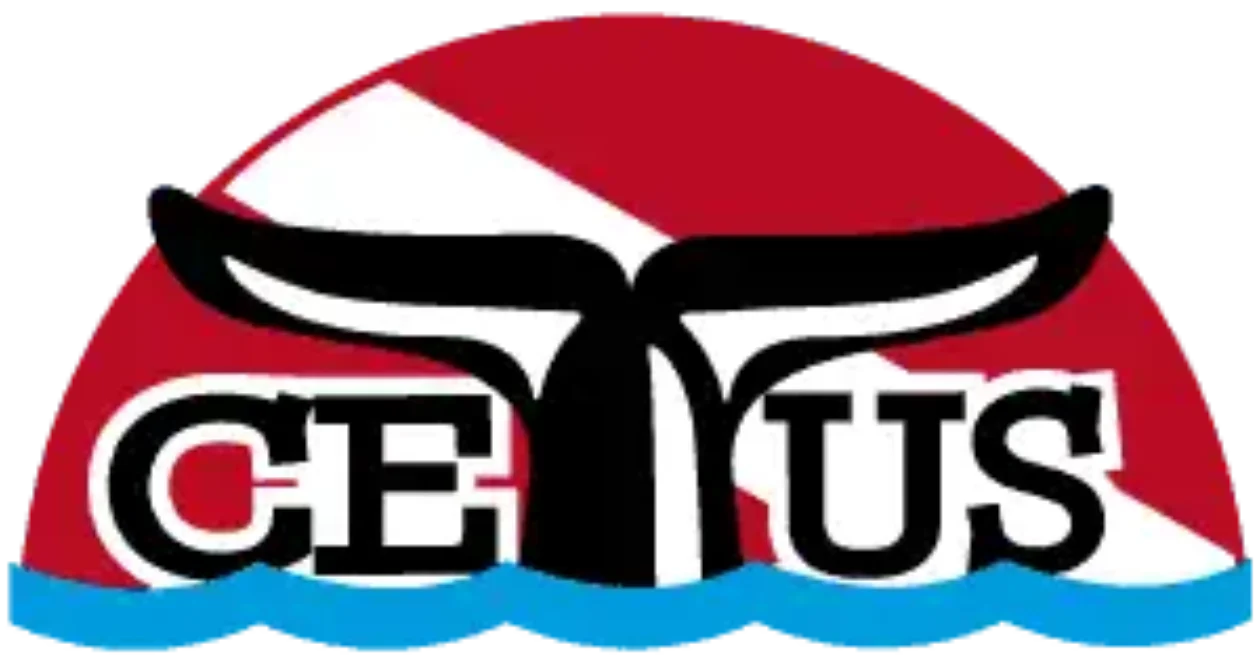 CETUS | SCUBA DIVE CENTER