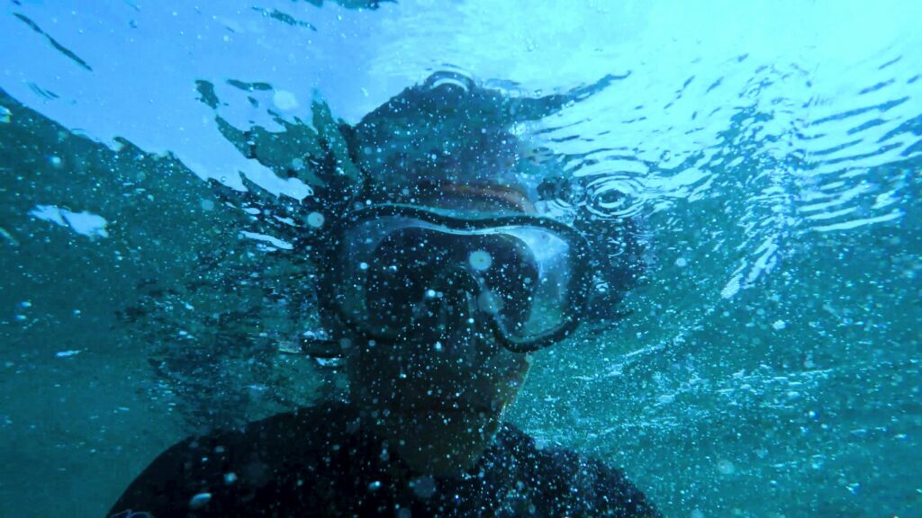 An underwater view of a scuba diver submerged in the ocean, capturing the essence of aquatic adventure.