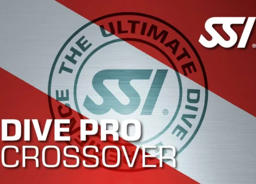 Crossover SSI