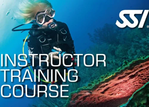 Curso de instructor SSI