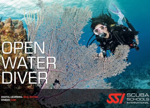 Certificate como buceador